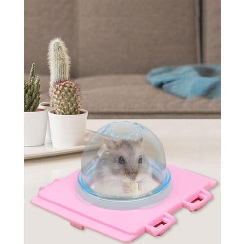 Peitten Rodent Tunnels