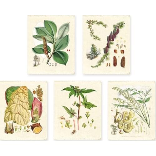 Green plants set of 5 Vintage Botanical illustrations floral art prints HD printing Flower Wall Art prints only unframed