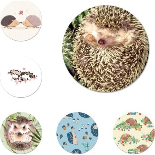 Cartoon Hedgehog Kawaii Badge Brooch Pin Accessories For Clothes Backpack Decoration gift