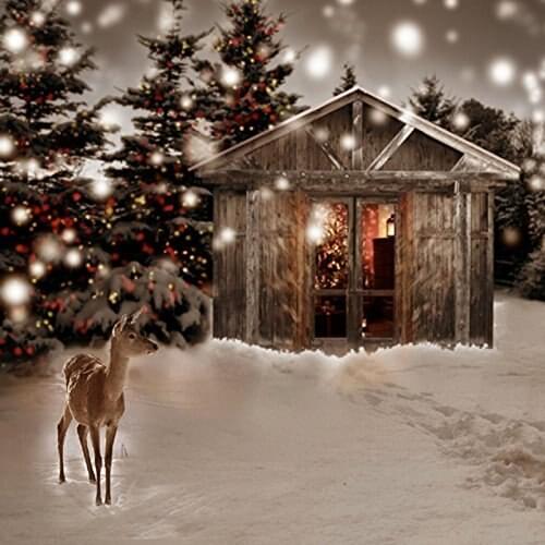 Name Number Custom Printing 5x7ft Art Christmas backdrop photo studio newborn backdrop photography background