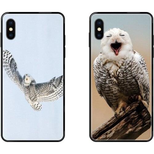 Snowy Owl Cheapen Luxury Quality Black Soft TPU Phone Case For iPhone 11 12 Pro 5 5S SE 5C 6 6S 7 8 X XR XS Plus Max