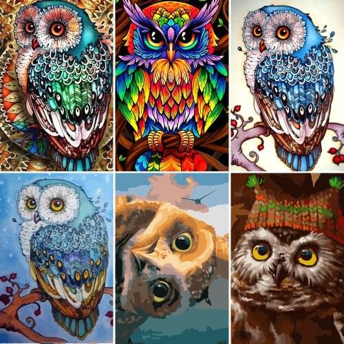 Meian 5d diy Diamond Painting "Colorful Owl" Picture Full drill kits diamond embroidery Cross stitch 2019 Resin Sale Wall Decor