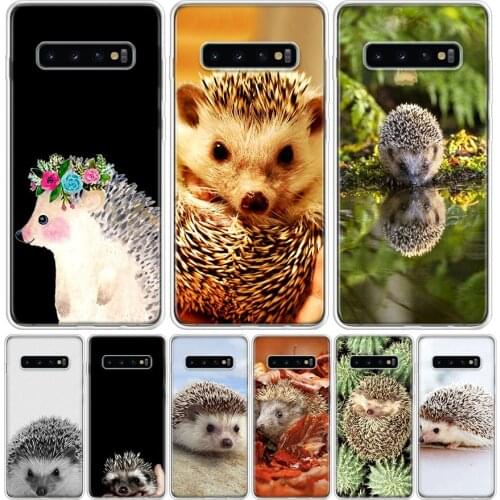 Cute Hedgehog Cover Phone Case For Samsung Galaxy S10 S20 Ultra Note 10 9 8 S9 S8 J4 J6 J8 + Lite Plus Pro S7 Coque