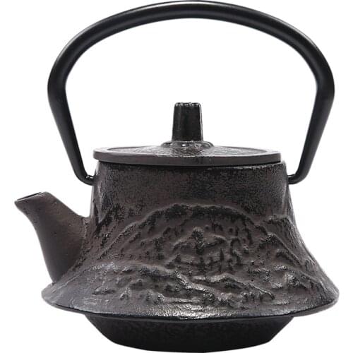 0.3L Cast Iron Teapot Set Tea Pot Tetsubin Kettle Drinkware 300ml Kung Fu Infusers Metal Net Filter Cooking Tools