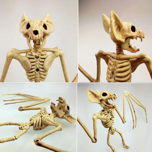 Halloween Skeleton Tool Holiday Party Accessories 30*17*5cm Room Escape Holiday Tricky Gadget Terror Plastic Halloween Skeleton