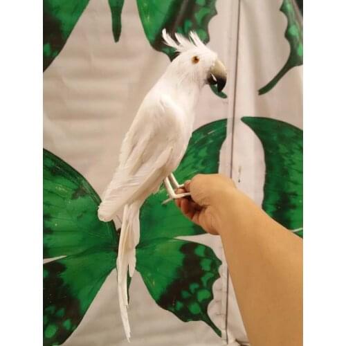 Lovely simulation parrot toy polyethylene & furs white parrot model gift about 40cm 1921