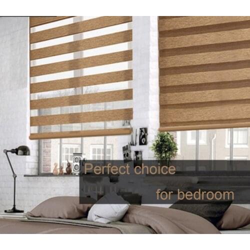 Window Shades Dual Layer 60% Blackout Zebra Roller Blinds Curtain Light Filtering Window Treatments for Day and Night Control