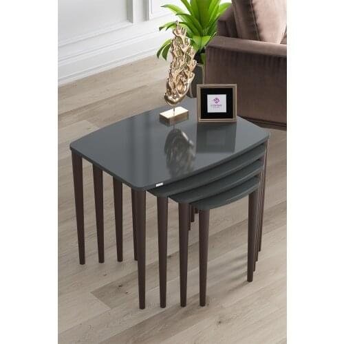 Modern Telwe Anthracite Mdf Lacquer Painted Walnut Floor Standing Zigon Coffee table Pad 4'lü coffe table