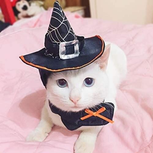 Pet Halloween Cloak Hat Set Cat Dog Cosplay Clothes Halloween Masquerade Pet Performance Costume