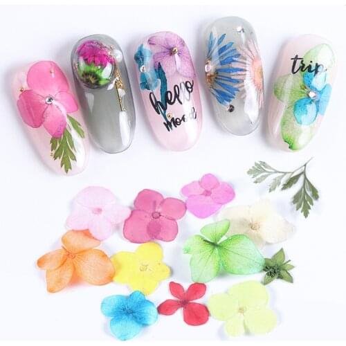 Mix Colors Dried Flower Flower For Nail Art Decorations Mixed Natural Nail Flowers Dry Flower Ornaments Manicure Accessories