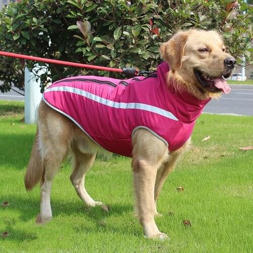 LLhlideal Clothes For Cats