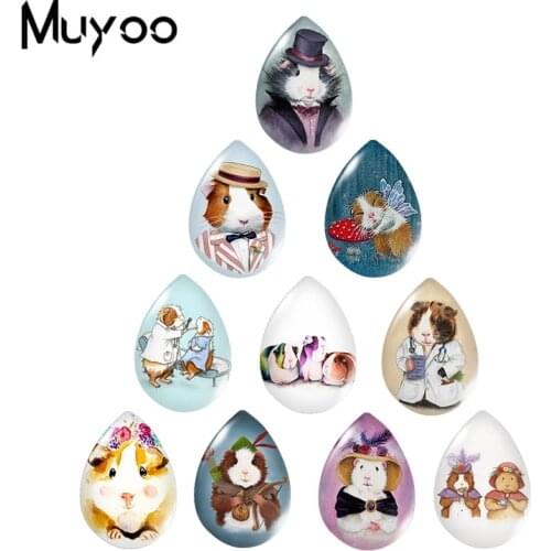 2020 New Guinea Pig Tear Drop Glass Dome Photo Jewelry Handcraft DIY Accessories