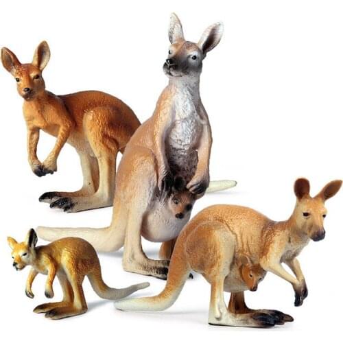 Kangaroo Models Toys Furnishings Childrens Gifts Wild Animals Knowledge Science Home Entertainment