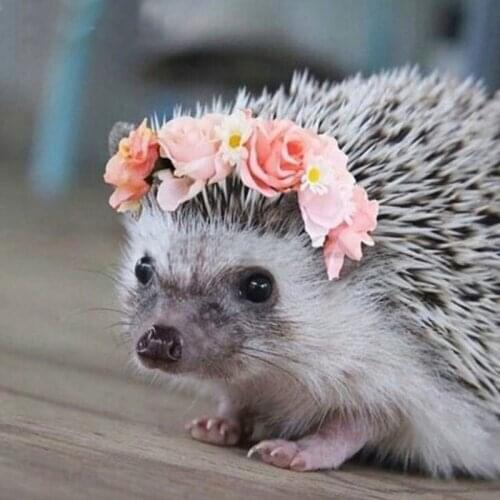 5D Diamond Painting Hedgehog Flower Full Round Drill Mosaic Diamond Embroidery Cross Stitch Rhinestone DIY Handmade Decor Gift