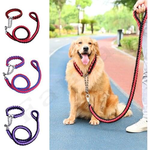 1.2m Length Dog Metal P Chain Explosion-Proof Rushed Dog Leash and Collar Set Training Pet Traction Rope Collar Set Dog Supplies