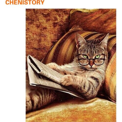 CHENISTORY Frame Glasses Cat DIY Painting By Numbers Abstract Modern Wall Art Hand Painted Oil Painting For Home Decor 60x75cm