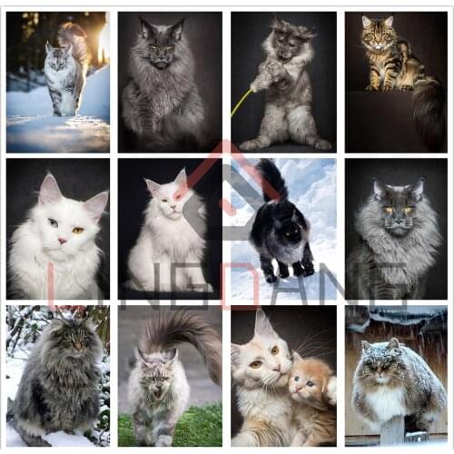 Full Square Round Drill 5D DIY Diamond Painting Animal Maine Coon Cat Diamond Embroidery Cross Stitch Large Cat Art Home Decor