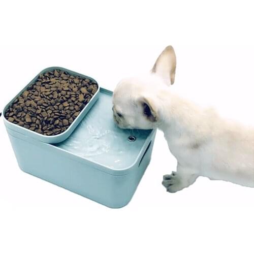 Pet Feeder Water Feeding Correctly Automatic Smart Dog Drinking Fountain