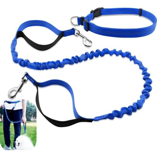 Dog Leash Reflective Leashes for Dog Walking Multifunctional Retractable Dogs Leashes Running Elastic Jogging Leash Dogs Walker