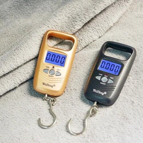 50kg x 10g Fishing Hook Scale Fishing Tools Mini Digital Scale For Fishing Luggage Travel Weighting Steelyard Electronic Scale