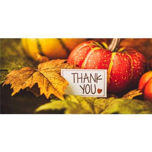 Brand new hot 5D DIY AB diamond painting pumpkin Thanksgiving poster full set of square diamond embroidery home decoration gift