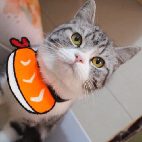 Cat Collar Cute Collar