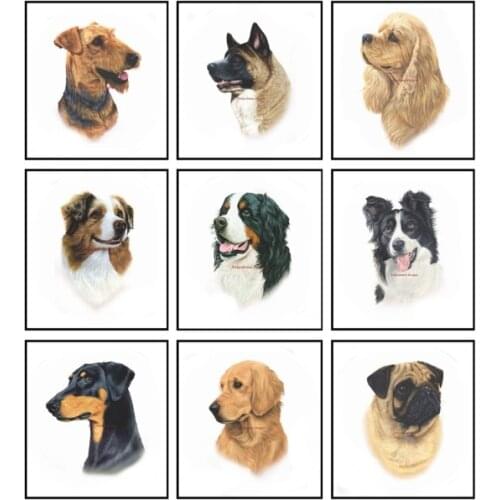 Embroidery Counted Cross Stitch Kits Needlework - Crafts 14 ct DMC Color DIY Arts Handmade Decor - Dog Head Collection