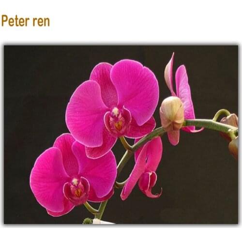 Peter ren Diamond painting cross stitch orchid Full coverage square diamond mosaic Diy Diamond embroidery Dtps.Ney Shan Gu Niang