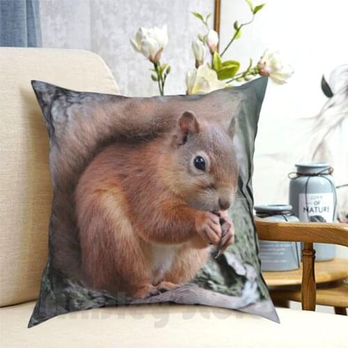 Red Squirrel Pillow Case Printed Home Soft DIY Pillow cover Red Squirrel Red Squirrel Mammal Animal Wildlife Scotland