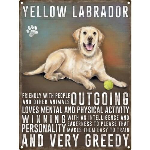Cute Dog Yellow Labrador Tin Sign 30x20cm