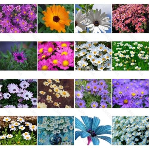 Diy Diamond Painting Daisy Living Room Sticker Wall Nordic Style Full of Diamonds Handmade Dot Inlaid Diamond Bedroom