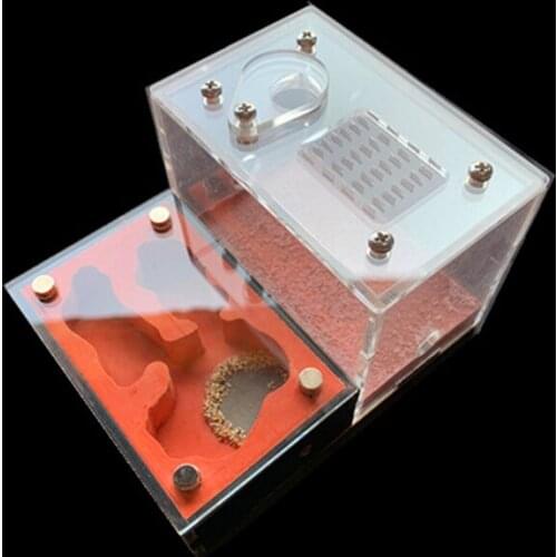 Red Ant Farm Acrylic Plaster Ant Nest Ant Community Villa Workshop Reptile Terrarium