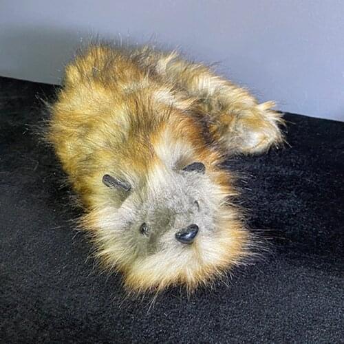 Deluxe The Rocky Raccoon Robbie Magic Tricks Stage Street Illusions Gimmick Accessories Prop Funny Appear Spring Animal Magic