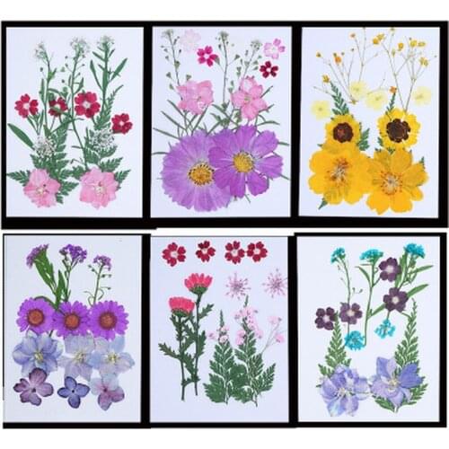 DIY Dried Flowers Natural Resin Mold Fillings UV Expoxy Flower for Nail Art Pressed Flowers Home Decor Handicraft Tiny Flowers