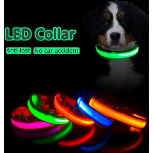 USB Charging Led Dog Collar Anti-Lost/Avoid Car Accident Collar For Dogs Puppies Dog Collars Leads LED Supplies Pet Products