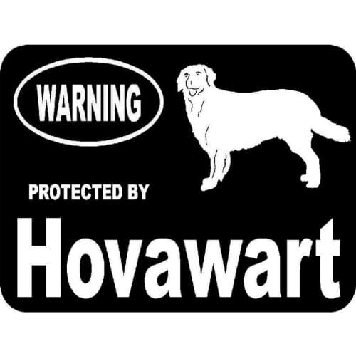 15.3cm*11.5cm Car Styling Protected By Hovawart Dog Funny Car Tail Car Stickers C5-1908