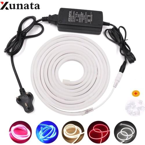 DC12V LED Strip Neon Light 2835 120Leds/m Flexible Waterproof Led Ribbon Strip Light Neon Tube With UK Plug White/Warm White