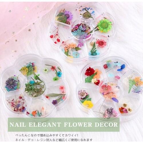 Mix Colors 1 Wheel Dried Flower 3D Nail Art Decoration Natural Flowers Sticker for nail Manicure Accessories Tip