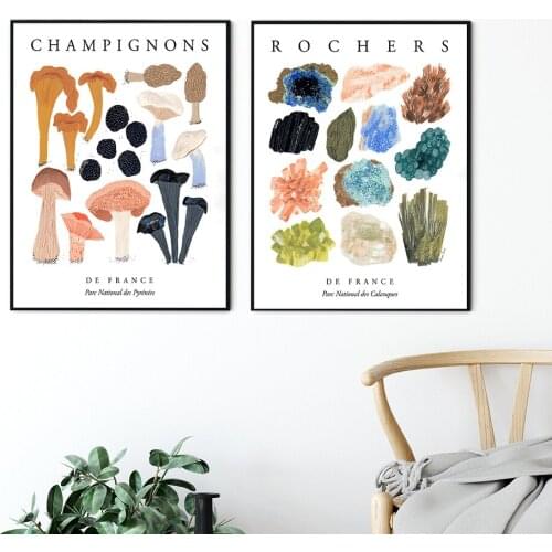 Champignon Rocks Matisse Prints Pictures French Crystals and Mushrooms Posters Parisian Gallery Nursery Bedroom Wall Art Decor