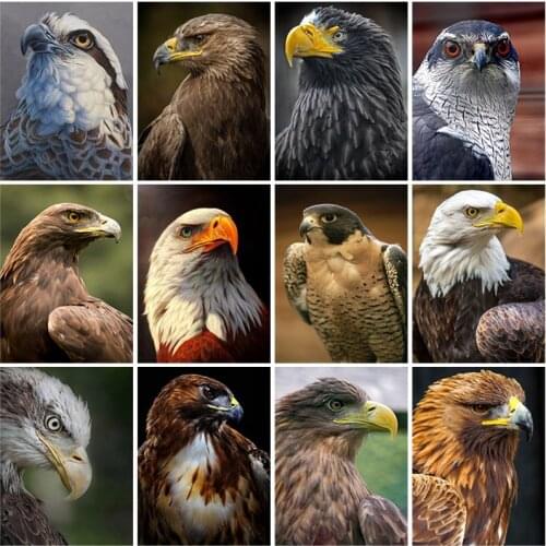 Eagle DIY 5D Diamond Painting Full Square Drill Bird Diamond Embroidery Cross Stitch Mosaic Kits Wall Art Home Decor