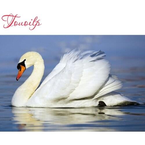 Touoilp 5D White Swan diy diamond embroidery stitch crystal square&round diamond sets decorative diy diamond painting mountain