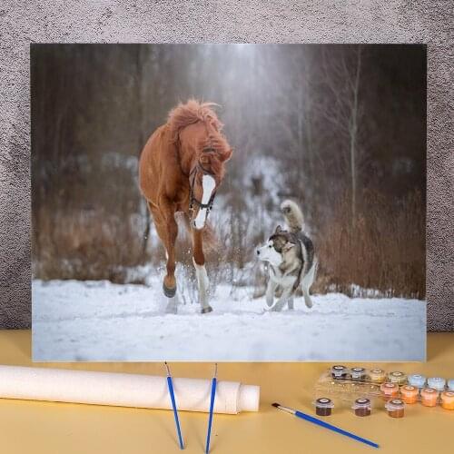 Animal Dog Husky DIY Paint By Numbers Package Acrylic Paints 50*70 Oil Painting Loft Wall Picture Children Drawing