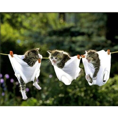 MHD Diy 5d diamonds embroidery round diamonds painting cross stitch 3 kittens pictures diamond mosaic kit home decor