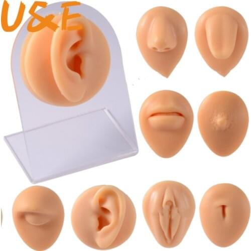 Simulation Human Body Part Silicone Model With Display Stand Use for Tattoo Puncture Practice Body Piercing Jewelry Display tool