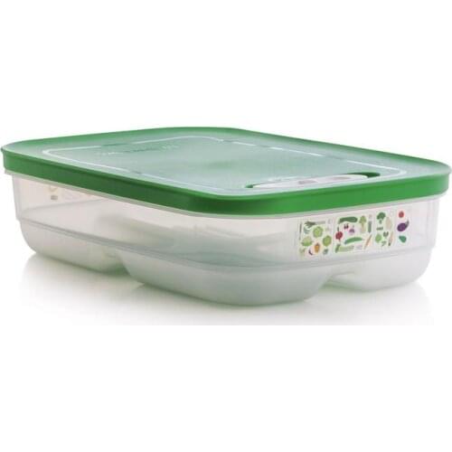 Tupperware T50-Greenhouse Series Vegetable Fruit Storage Container 1.8 l Low Rise Trunk
