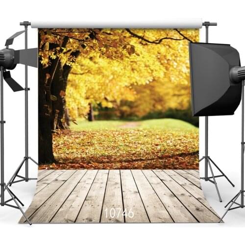 Portrait Background Autumn Forest Fallen Leaves Wedding Anniversary Baby Shower Photophone Backdrop for Photo Studio Vinyl 3D