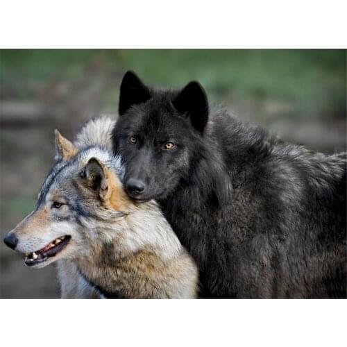 Wolf Animal DIY Cross Stitch Embroidery 11CT Kits Needlework Craft Set Cotton Thread Printed Canvas Home Dropshipping