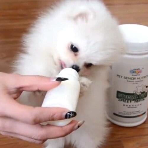 Water Baby Feeding Tool Cleaning Brush For Puppy Dog Cat Puppy Kitten Milk Bottle Nipple Nursing Pacifier Pet Water Supplies