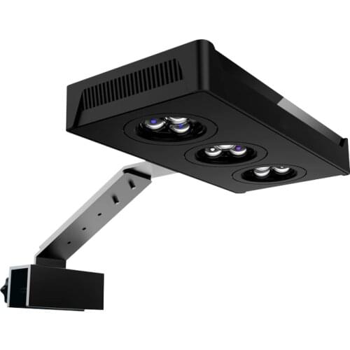 Женская одежда EPOCSYHINE China At AliExpress