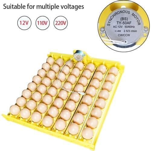 56 Eggs Incubator Eggs Automatic Incubator Motor Turn Tray Poultry Incubation Equipment Farm Poultry Hatching Accessories